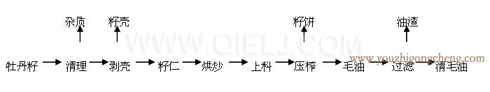 牡丹籽油榨油精炼生产线(图6)